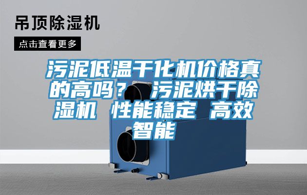 污泥低温干化机价格真的高吗？ 污泥烘干91免费网站在线观看 性能稳定 高效智能