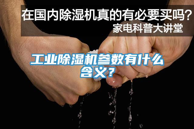 工业91免费网站在线观看参数有什么含义？
