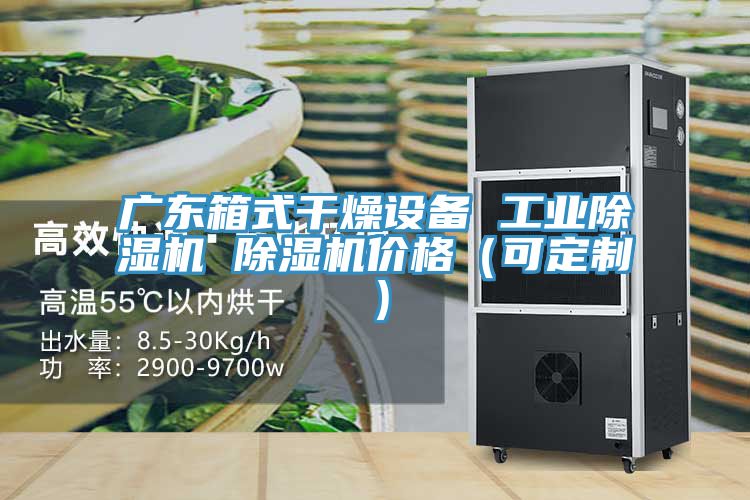 广东箱式干燥设备 工业91免费网站在线观看 91免费网站在线观看价格（可定制）