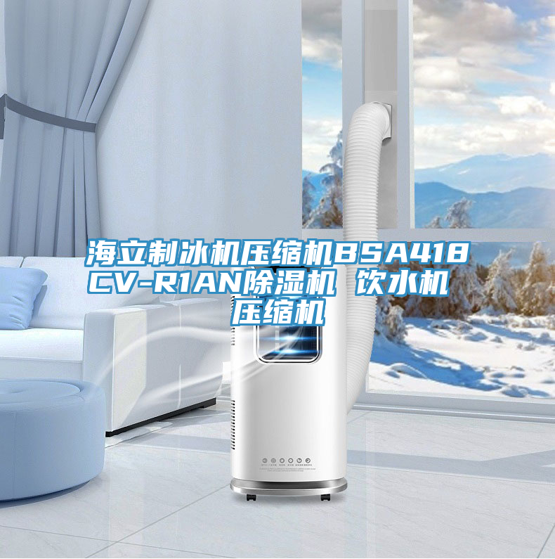 海立制冰机压缩机BSA418CV-R1AN91免费网站在线观看 饮水机 压缩机