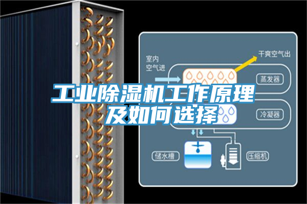 工业91免费网站在线观看工作原理 及如何选择