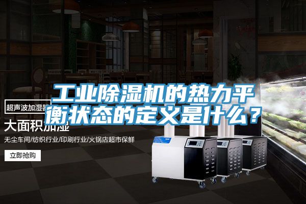 工业91免费网站在线观看的热力平衡状态的定义是什么？