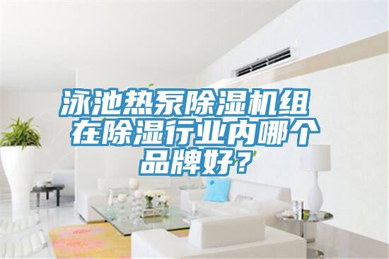 泳池热泵91免费网站在线观看组 在除湿行业内哪个品牌好？