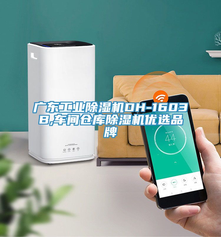 广东工业91免费网站在线观看DH-1603B,车间仓库91免费网站在线观看优选品牌