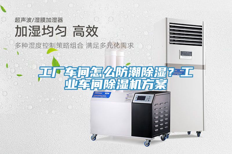 工厂车间怎么防潮除湿？工业车间91免费网站在线观看方案