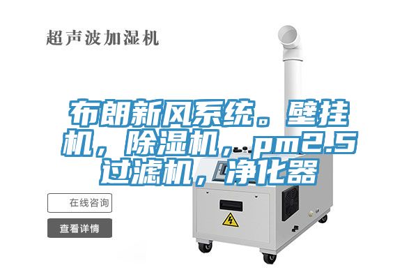 布朗新风系统。壁挂机，91免费网站在线观看，pm2.5过滤机，净化器