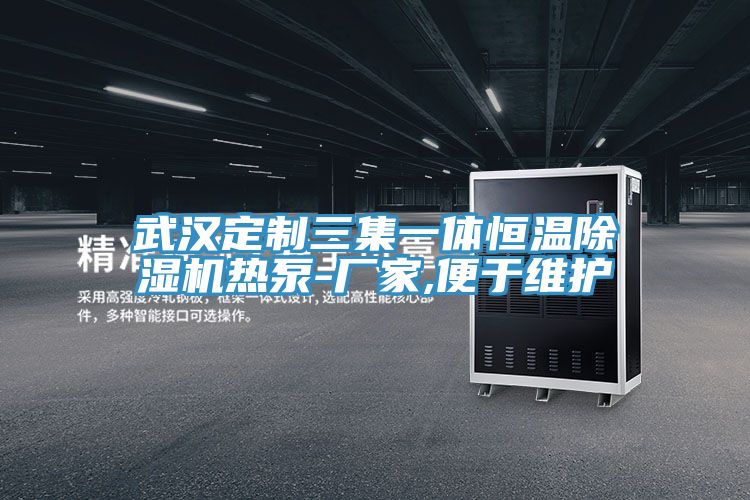 武汉定制三集一体恒温91免费网站在线观看热泵-厂家,便于维护