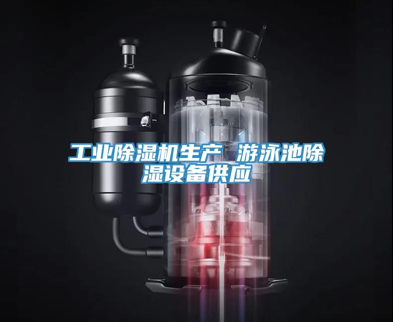 工业91免费网站在线观看生产 游泳池除湿设备供应