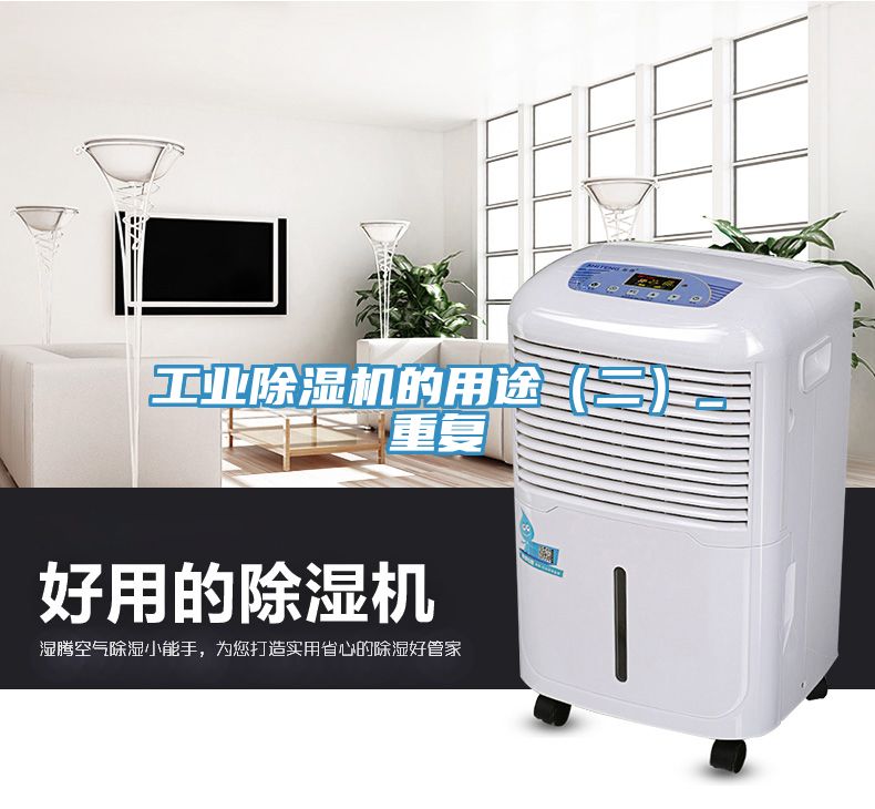 工业91免费网站在线观看的用途（二）_重复