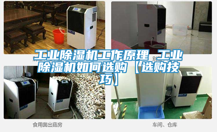 工业91免费网站在线观看工作原理 工业91免费网站在线观看如何选购【选购技巧】