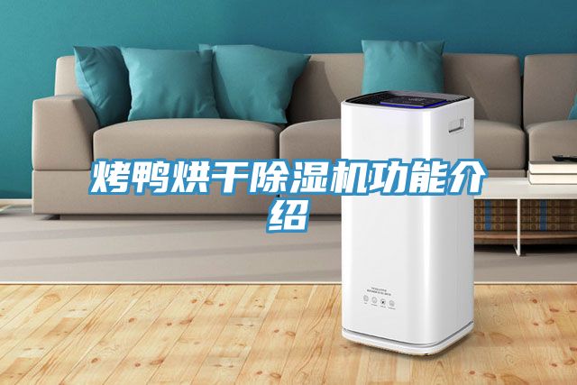烤鸭烘干91免费网站在线观看功能介绍