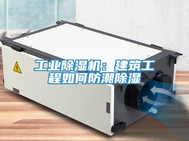 工业91免费网站在线观看：建筑工程如何防潮除湿