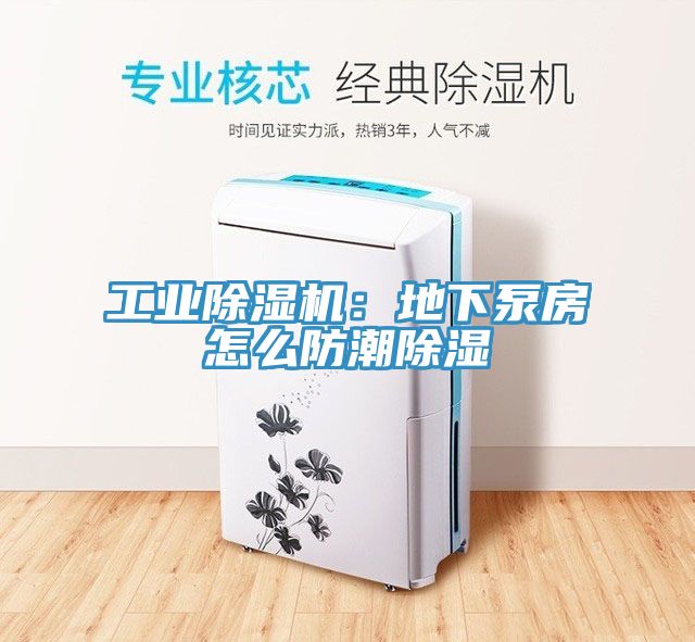 工业91免费网站在线观看：地下泵房怎么防潮除湿