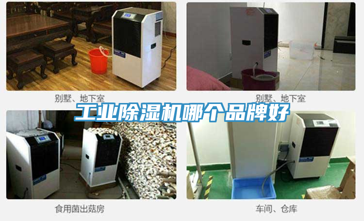 工业91免费网站在线观看哪个品牌好