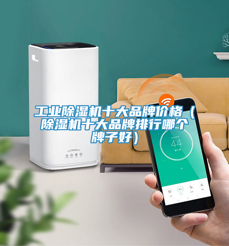工业91免费网站在线观看十大品牌价格（91免费网站在线观看十大品牌排行哪个牌子好）