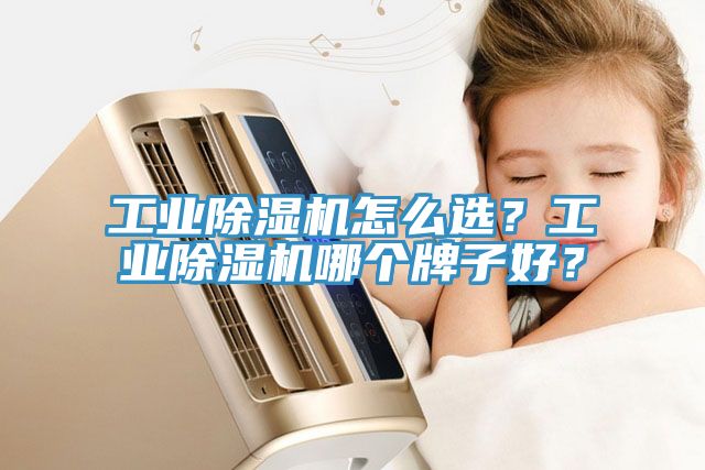 工业91免费网站在线观看怎么选？工业91免费网站在线观看哪个牌子好？