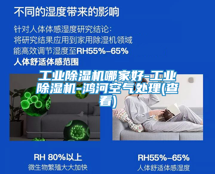 工业91免费网站在线观看哪家好-工业91免费网站在线观看-鸿河空气处理(查看)