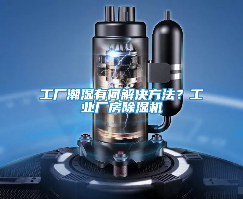 工厂潮湿有何解决方法？工业厂房91免费网站在线观看