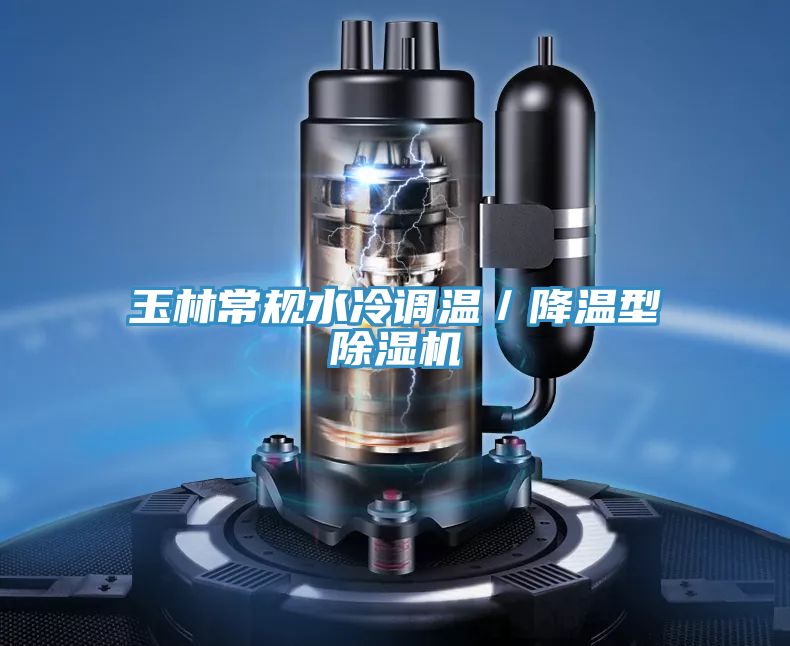 玉林常规水冷调温／降温型91免费网站在线观看