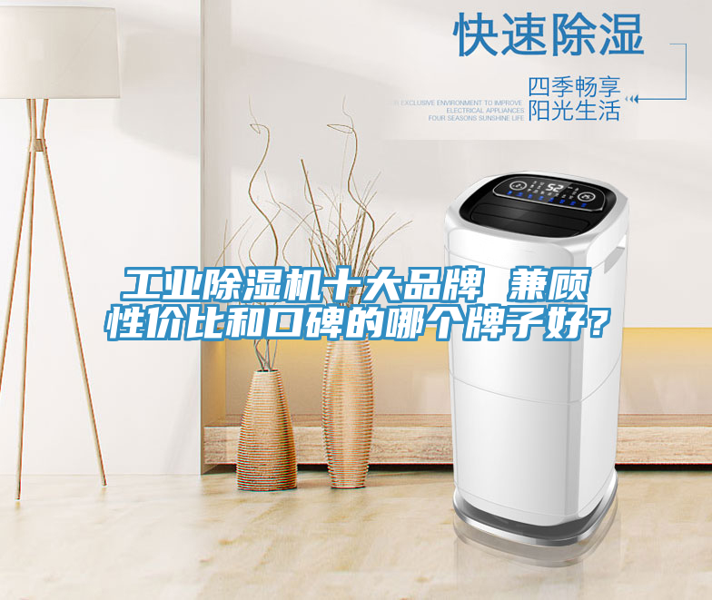 工业91免费网站在线观看十大品牌 兼顾性价比和口碑的哪个牌子好？