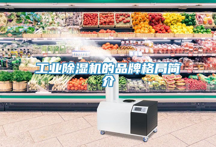 工业91免费网站在线观看的品牌格局简介
