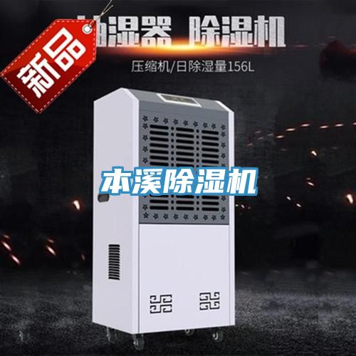 本溪91免费网站在线观看