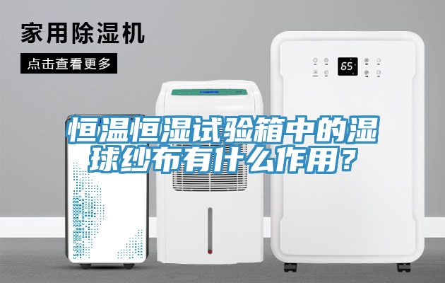 恒温恒湿试验箱中的湿球纱布有什么作用？