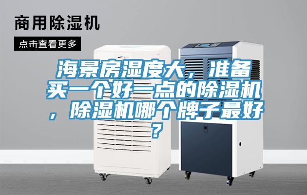 海景房湿度大，准备买一个好一点的91免费网站在线观看，91免费网站在线观看哪个牌子最好？