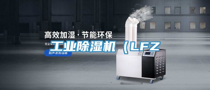 工业91免费网站在线观看（LFZ