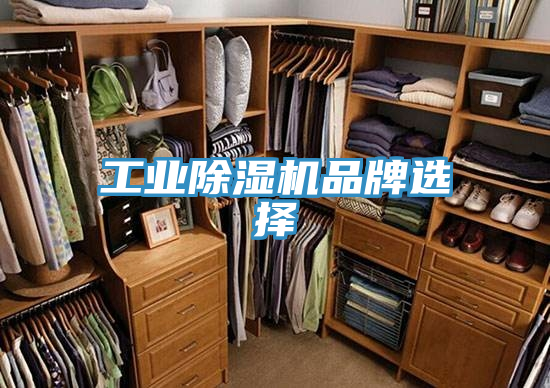 工业91免费网站在线观看品牌选择