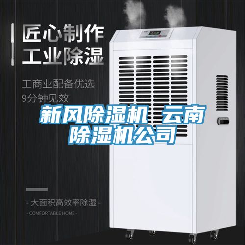 新风91免费网站在线观看 云南91免费网站在线观看公司