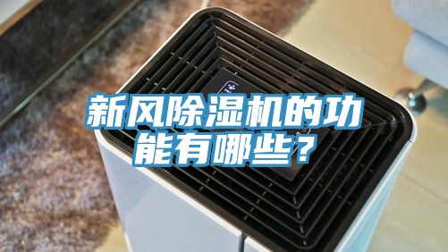 新风91免费网站在线观看的功能有哪些？