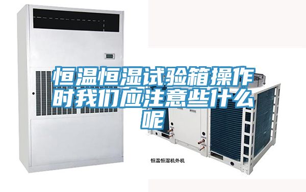 恒温恒湿试验箱操作时91免费看黄片应注意些什么呢