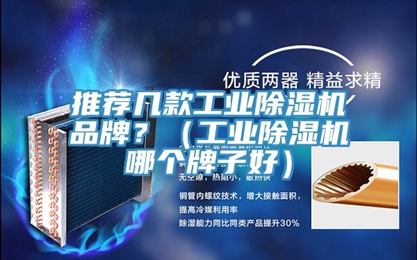 推荐几款工业91免费网站在线观看品牌？（工业91免费网站在线观看哪个牌子好）