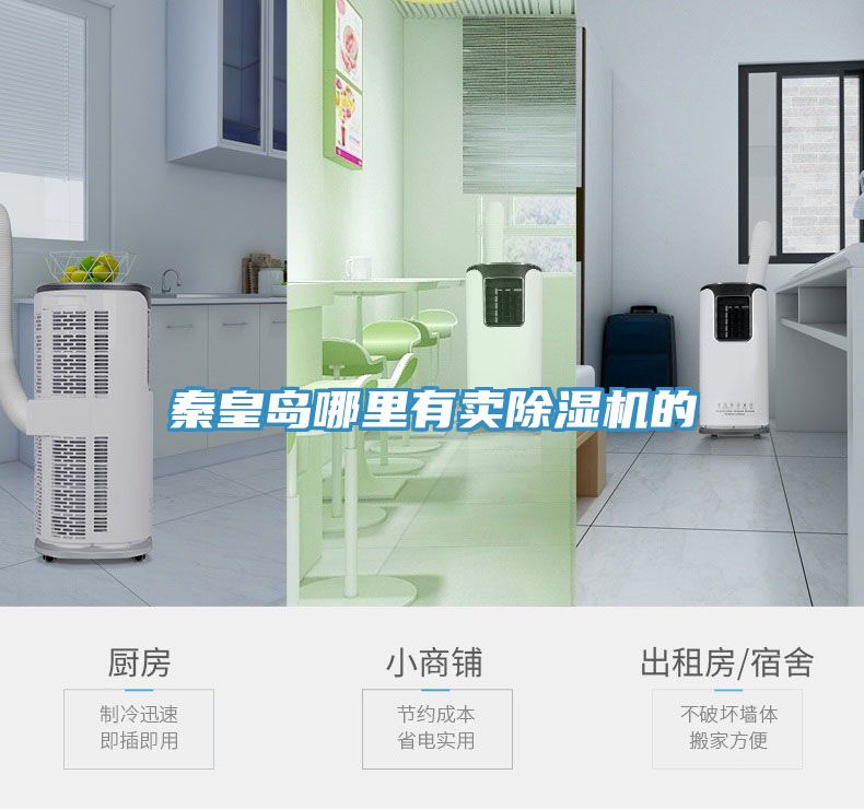 秦皇岛哪里有卖91免费网站在线观看的