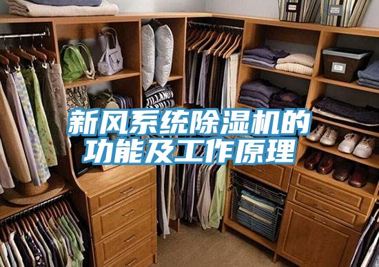 新风系统91免费网站在线观看的功能及工作原理