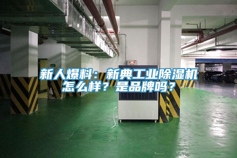 新人爆料：新典工业91免费网站在线观看怎么样？是品牌吗？