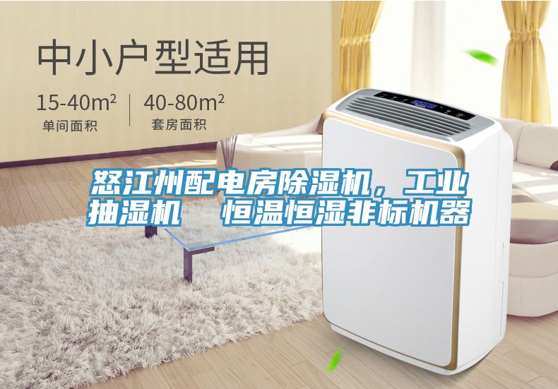 怒江州配电房91免费网站在线观看，工业抽湿机  恒温恒湿非标机器