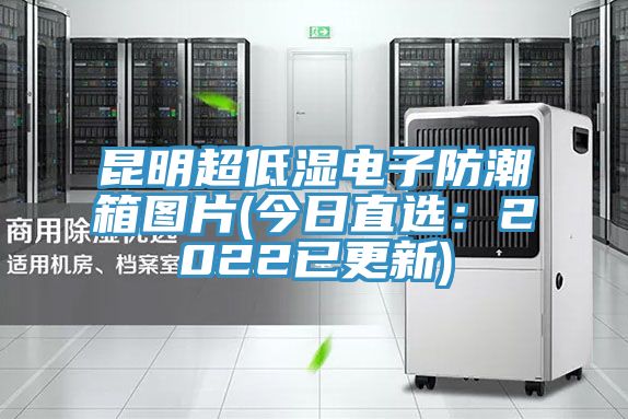 昆明超低湿电子防潮箱图片(今日直选：2022已更新)