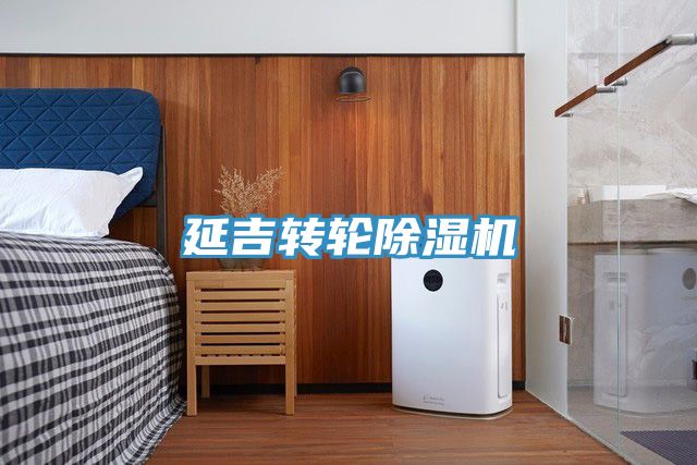 延吉转轮91免费网站在线观看