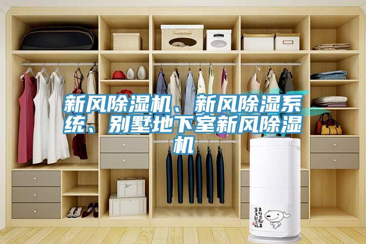 新风91免费网站在线观看、新风除湿系统、别墅地下室新风91免费网站在线观看