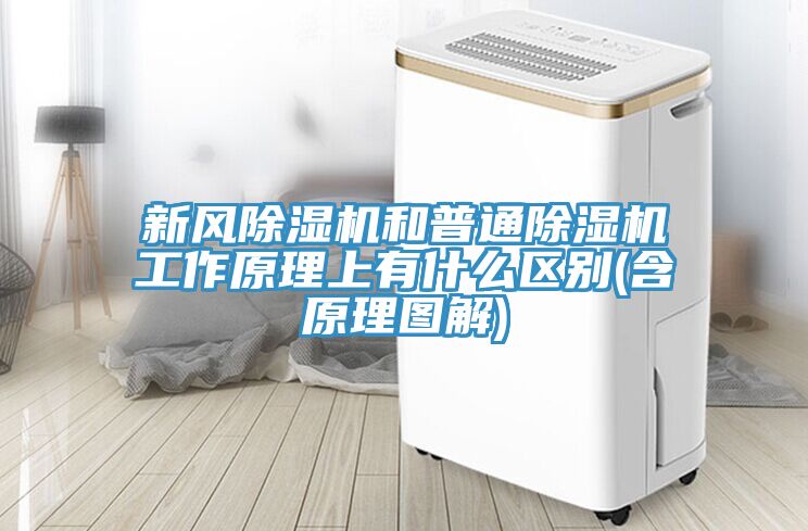 新风91免费网站在线观看和普通91免费网站在线观看工作原理上有什么区别(含原理图解)