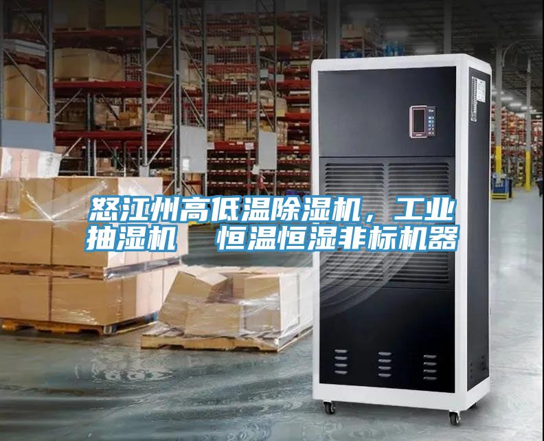 怒江州高低温91免费网站在线观看，工业抽湿机  恒温恒湿非标机器