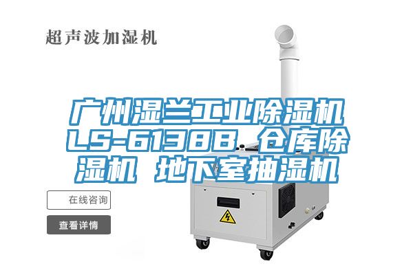 广州湿兰工业91免费网站在线观看LS-6138B 仓库91免费网站在线观看 地下室抽湿机