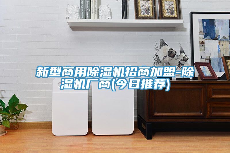 新型商用91免费网站在线观看招商加盟-91免费网站在线观看厂商(今日推荐)