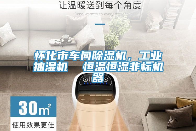 怀化市车间91免费网站在线观看，工业抽湿机  恒温恒湿非标机器