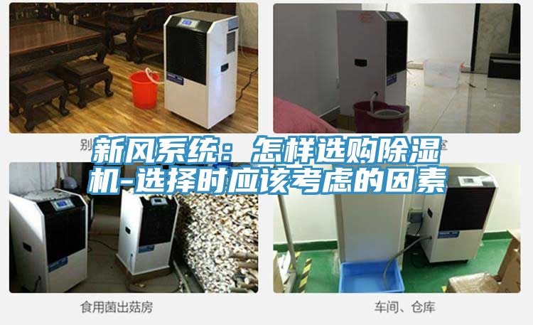 新风系统：怎样选购91免费网站在线观看-选择时应该考虑的因素