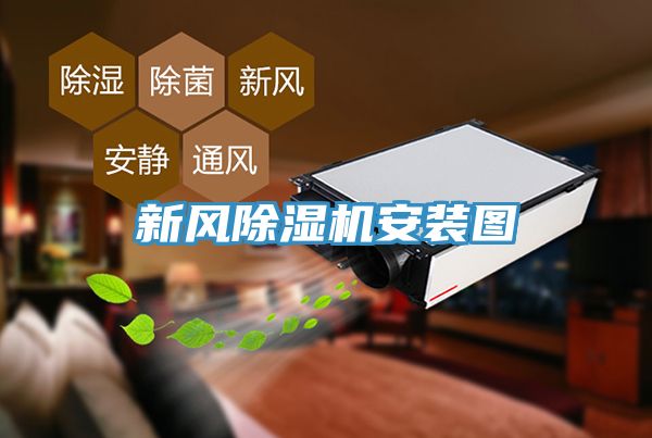 新风91免费网站在线观看安装图