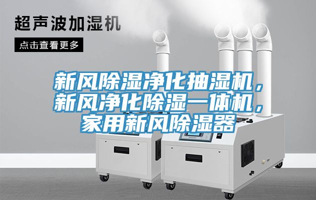 新风除湿净化抽湿机，新风净化除湿一体机，家用新风除湿器