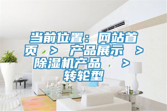 当前位置：网站首页 ＞ 产品展示 ＞ 91免费网站在线观看产品  ＞ 转轮型